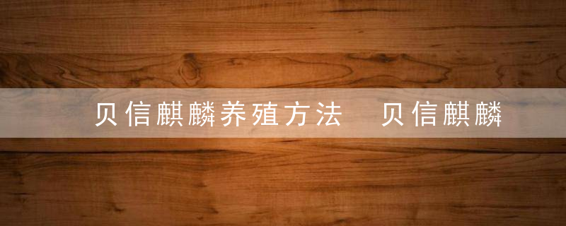 贝信麒麟养殖方法 贝信麒麟如何养殖